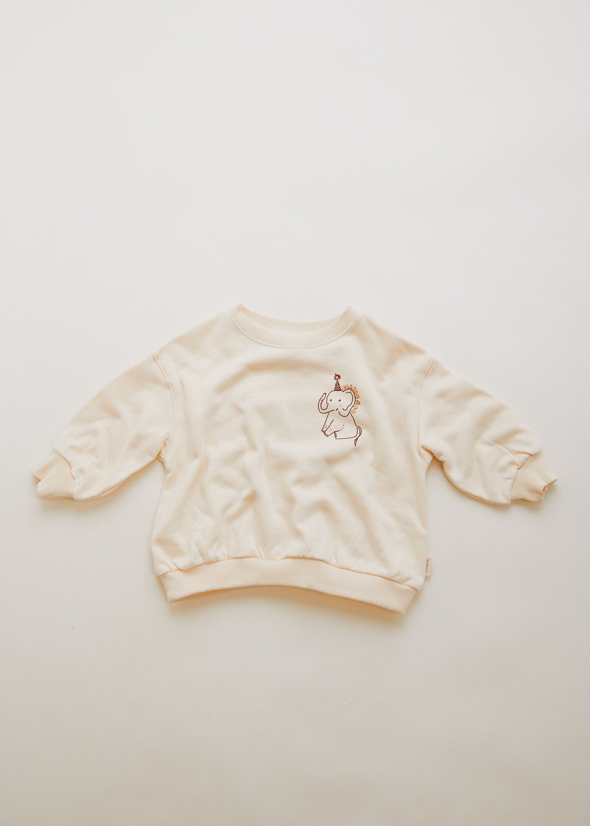 Curiosités pull Carner