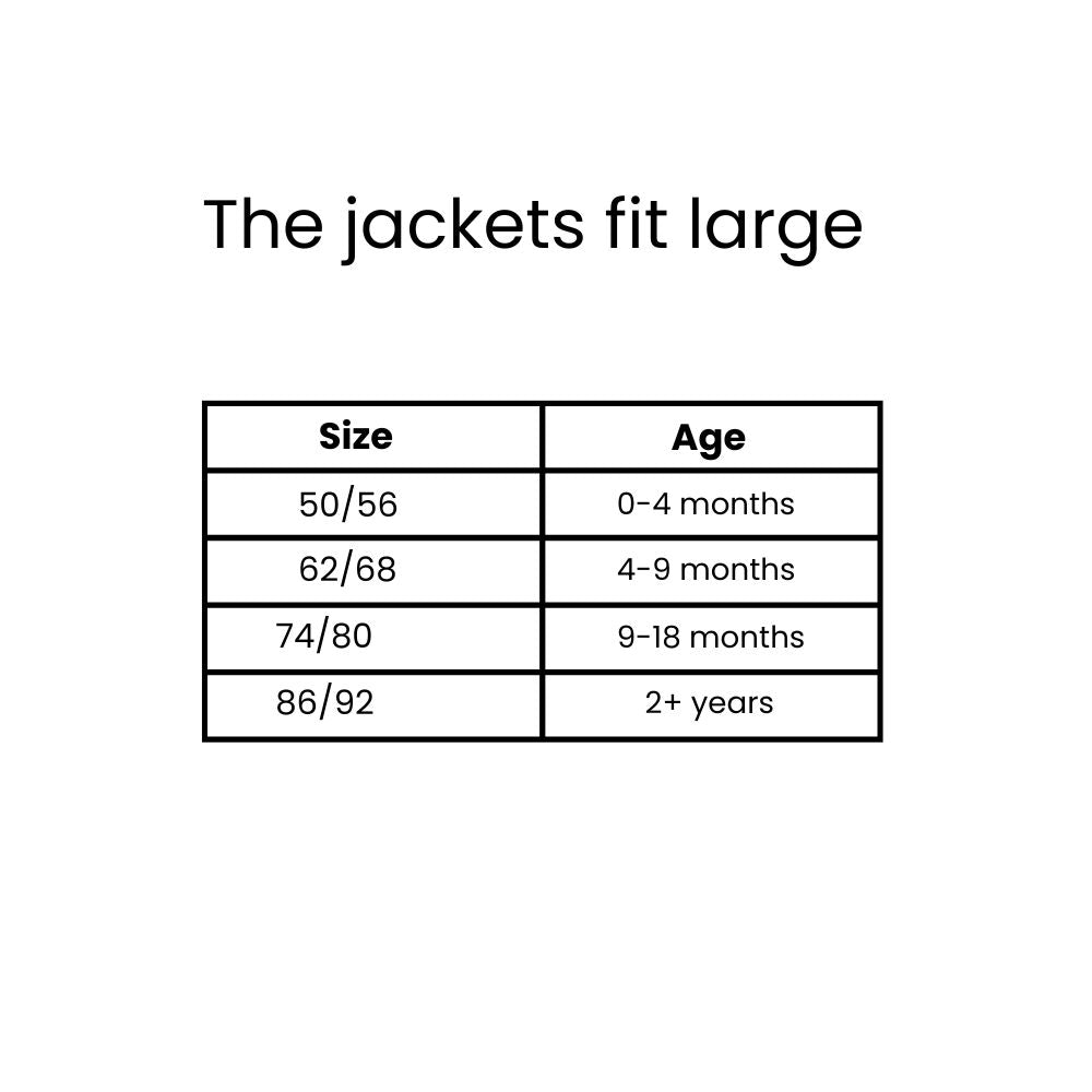 Veste polaire loup bleu