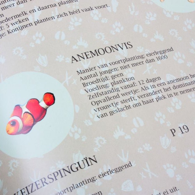 De allerbeste mama van de hele wereld 3+ - Charly's