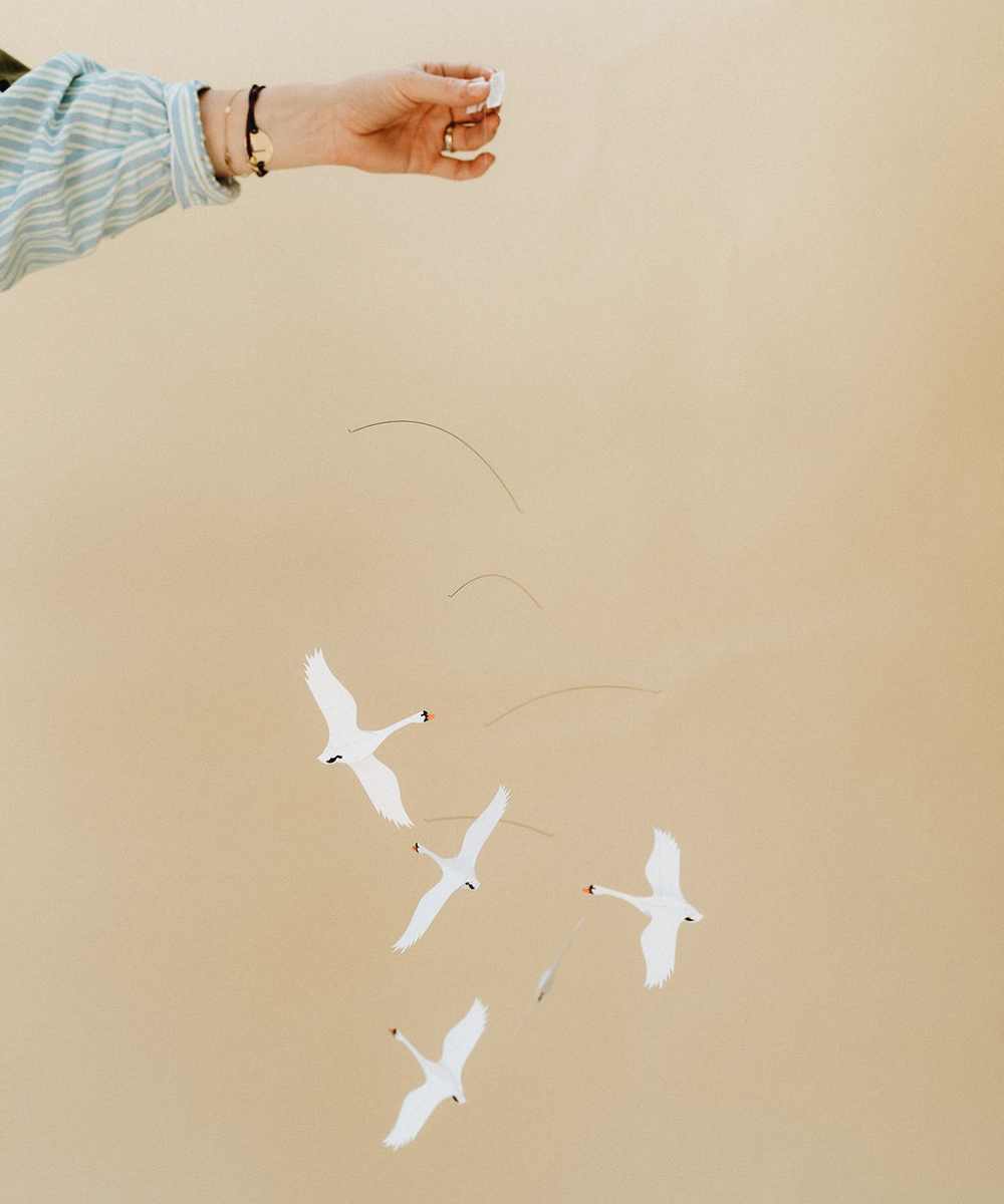 Cygnes mobiles