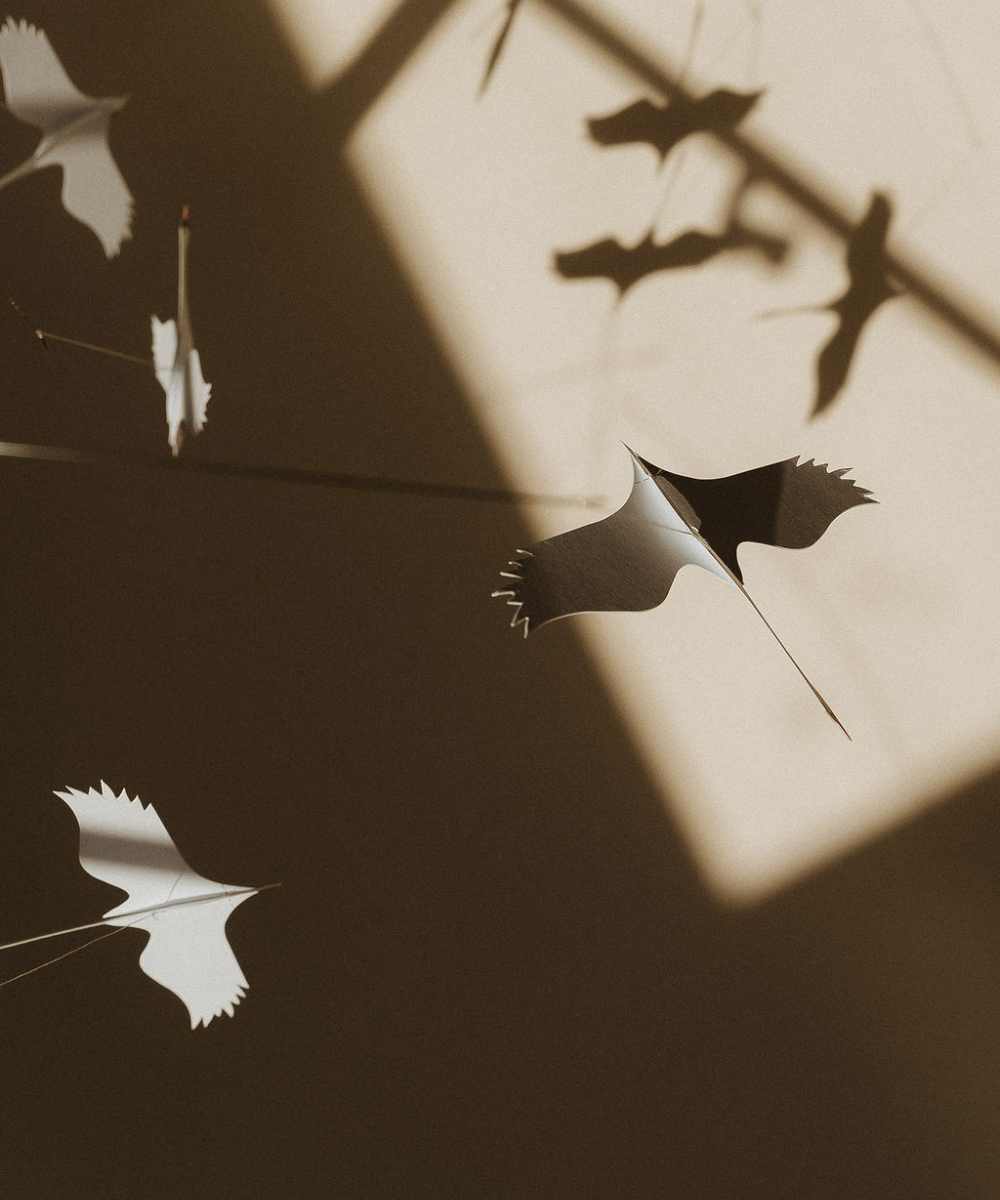 Cygnes mobiles