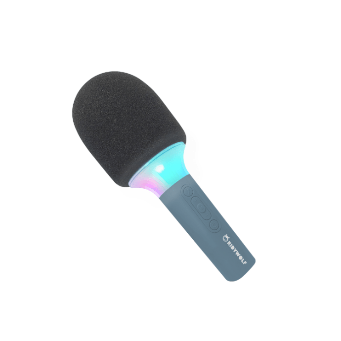 Karaoke microfoon blauw - Charly's