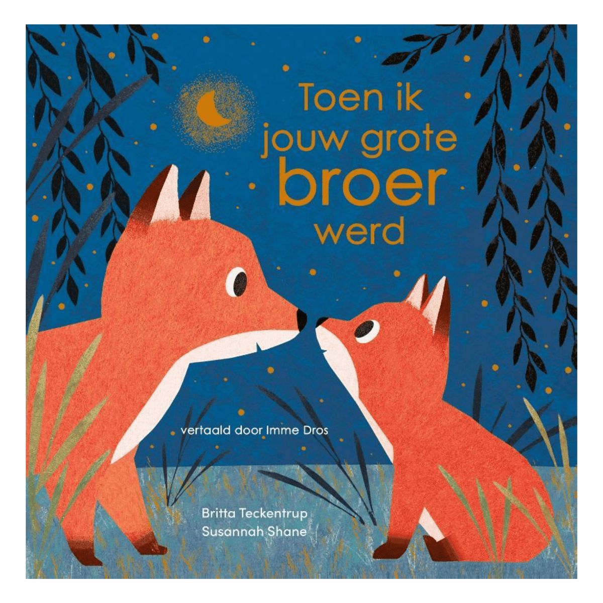 Toen ik jouw grote broer werd 2+ - Charly's